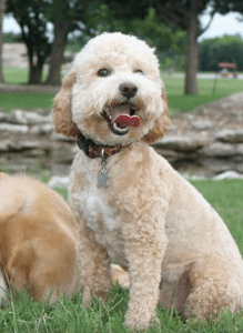 Screenshot_2015-09-05-18-29-19-1