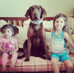 Screenshot_2016-02-17-09-01-54-1