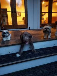 fb_img_1468790070451